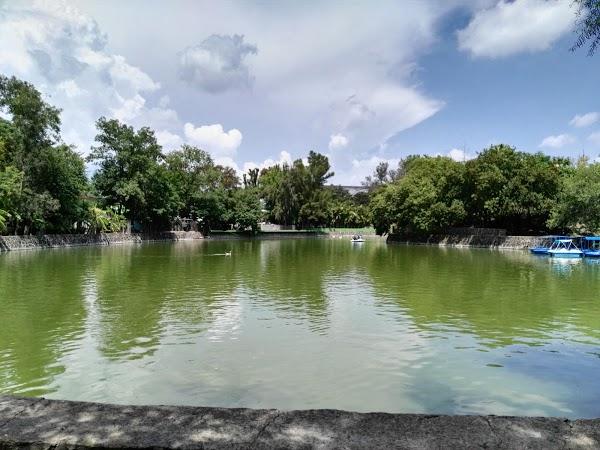 Imagen 78 Parque Zoológico de Irapuato foto