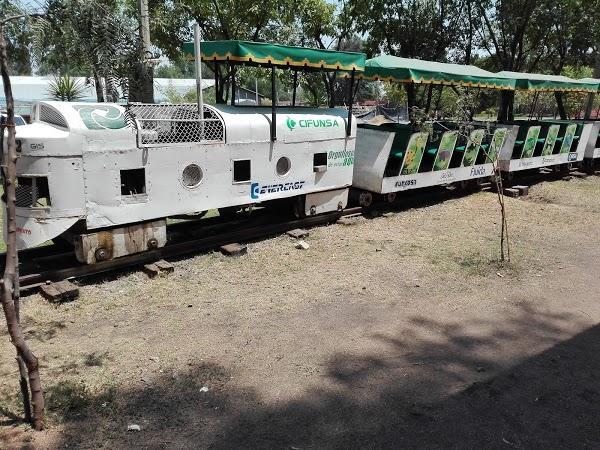 Imagen 82 Parque Zoológico de Irapuato foto