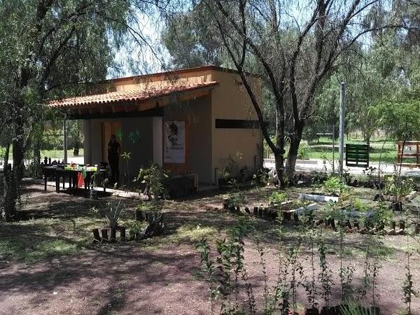 Imagen 89 Parque Zoológico de Irapuato foto