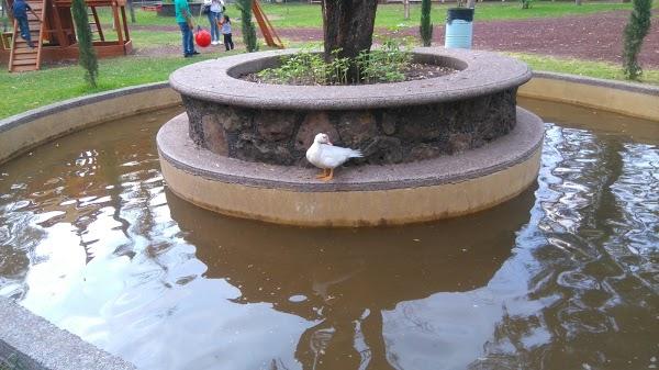 Imagen 92 Parque Zoológico de Irapuato foto