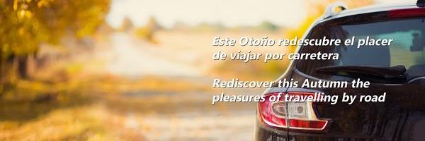 Imagen 46 Elite Auto Paint foto
