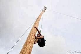 Imagen 9 Servicios Globales Inmobiliarios Canet foto