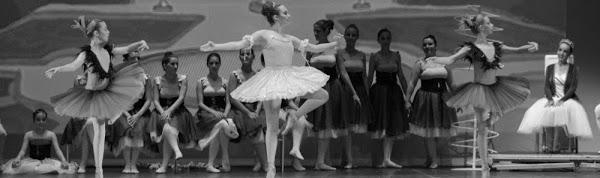 Imagen 15 Fc Informatica www.fcinformatica.com.ar foto