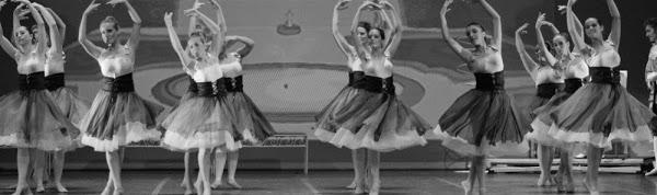 Imagen 23 Fc Informatica www.fcinformatica.com.ar foto