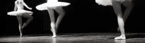 Imagen 40 Fc Informatica www.fcinformatica.com.ar foto