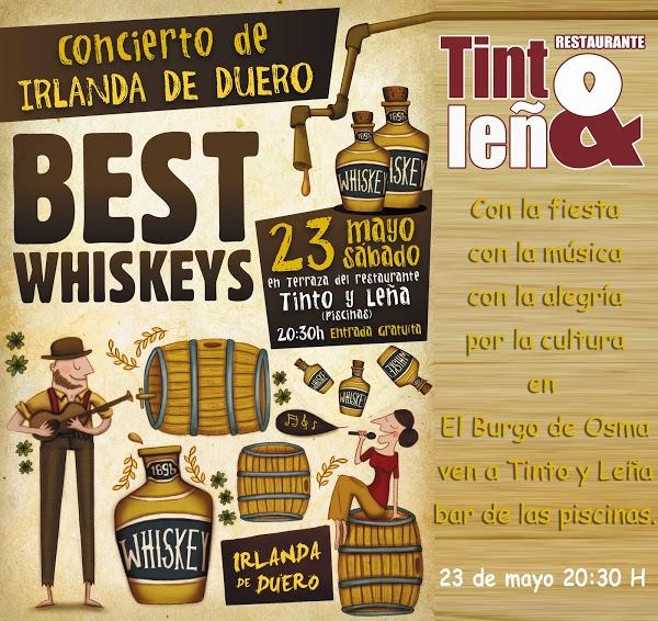 Imagen 28 Pizzeria Pizza Restaurante Estepona NoSoloPizza foto