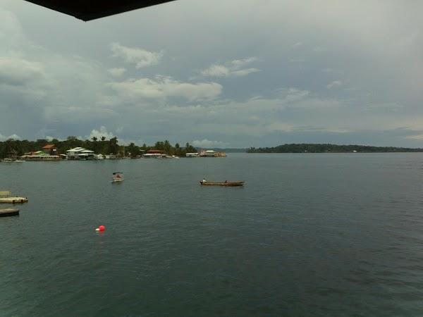 Imagen 4 Comercializadora Anfora, S.A. De C.V. foto