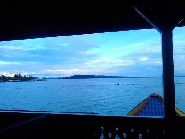 Imagen 10 Comercializadora Anfora, S.A. De C.V. foto