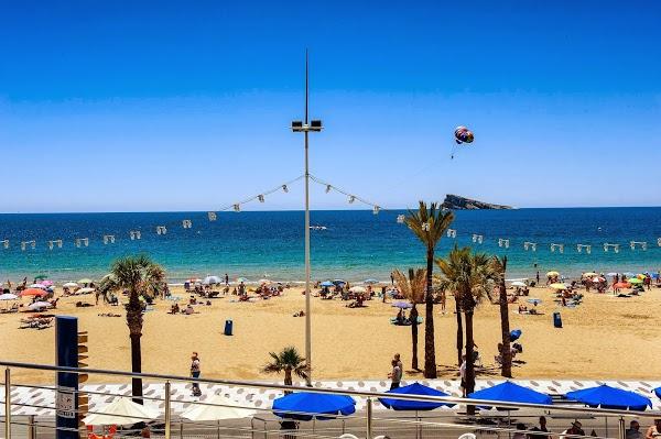 Imagen 3 Floristería Lola Muñoz foto