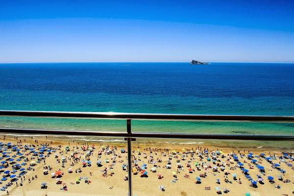 Imagen 4 Floristería Lola Muñoz foto