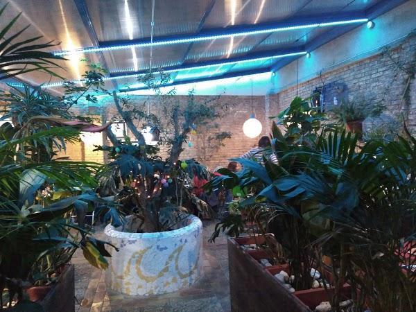 Imagen 53 Floristería Lola Muñoz foto