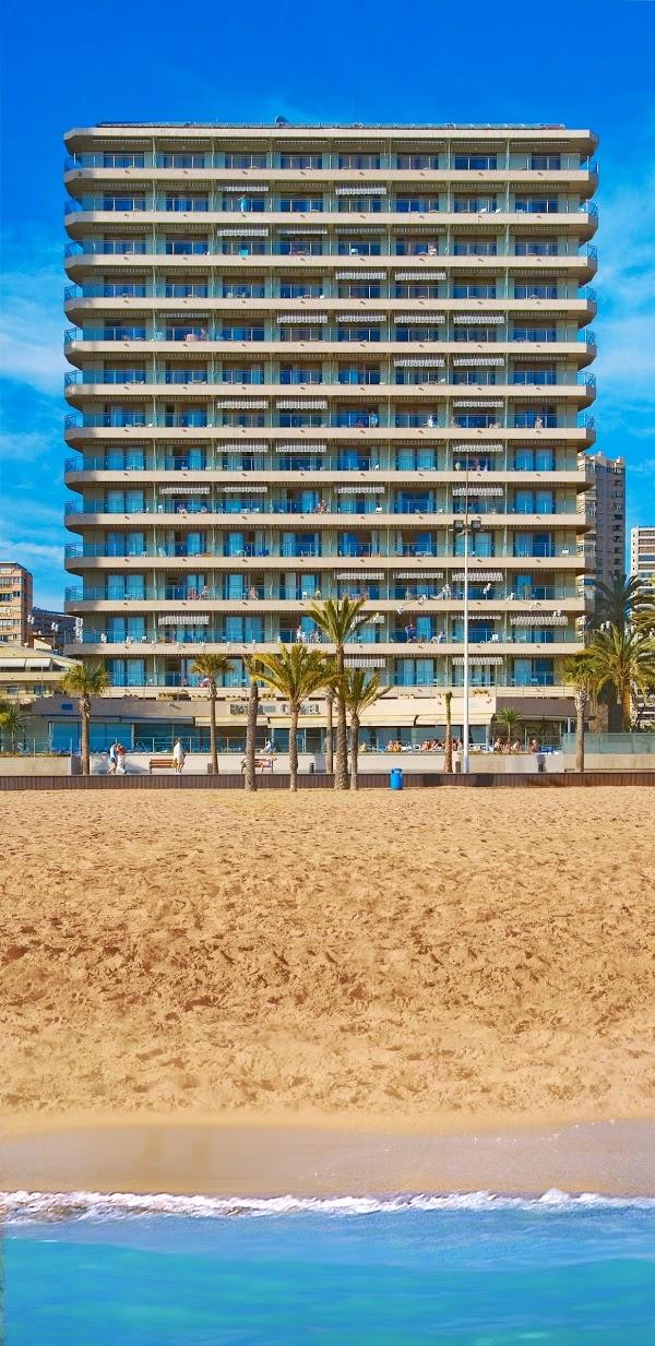 Imagen 8 Floristería Lola Muñoz foto