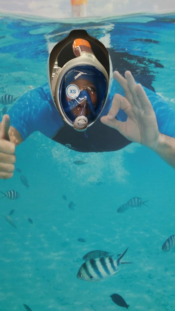 Imagen 37 Imágenes Diagnósticas de Mazatlán foto