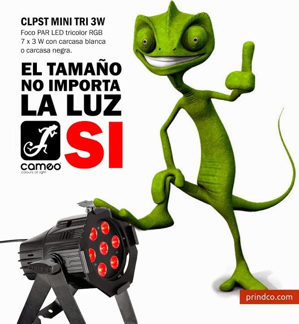 Imagen 25 I.E. Miguel Grau foto