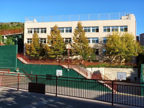 Imagen 3 MORTICIA foto