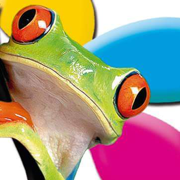 Imagen 21 Il Capriccio Della Mamma foto