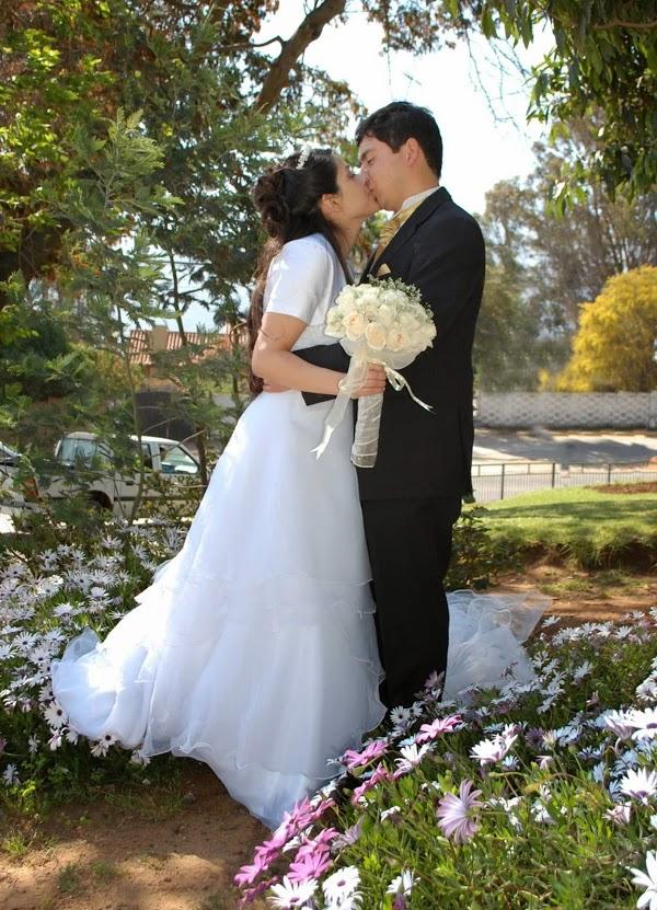 Imagen 11 Cancha Bajo Techo Vista del Morro foto