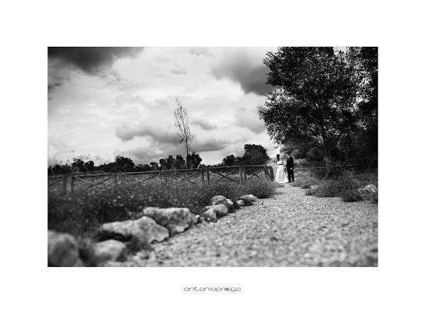 Imagen 14 Cancha Bajo Techo Vista del Morro foto