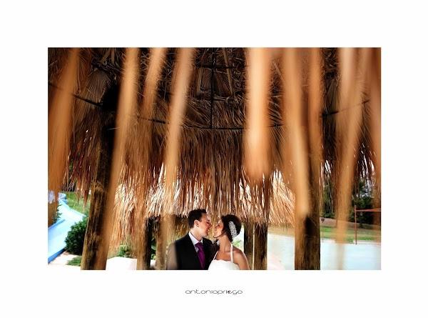 Imagen 15 Cancha Bajo Techo Vista del Morro foto