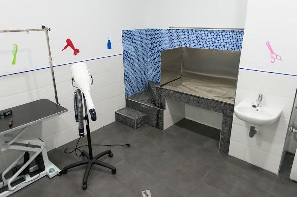 Imagen 53 Sol Sun Beach Apartments foto