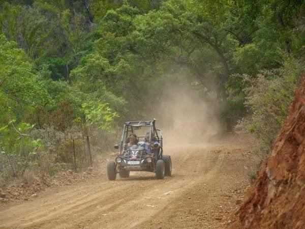 Imagen 3 Telcel foto