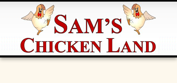 Imagen 15 Escuela De Guitarra y Cante Flamenco Joaquin Herrera foto