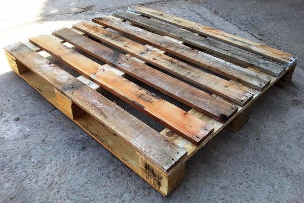 Imagen 18 inNova foto