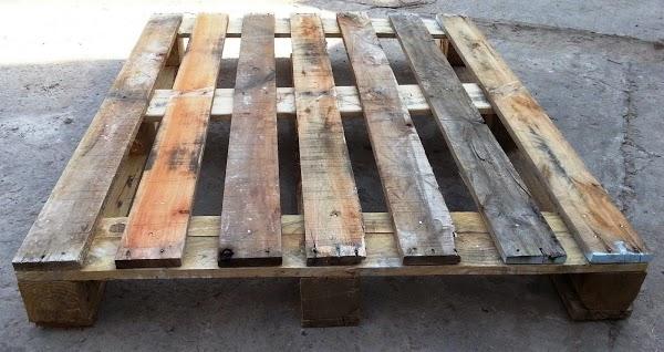 Imagen 8 inNova foto