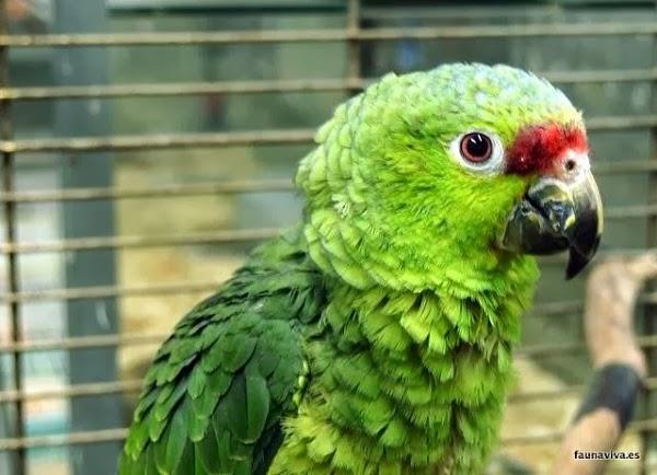 Imagen 22 Moliere Café foto