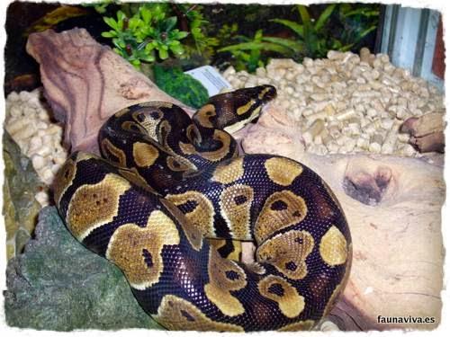 Imagen 26 Moliere Café foto