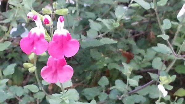 Imagen 13 Oficina de Correos foto