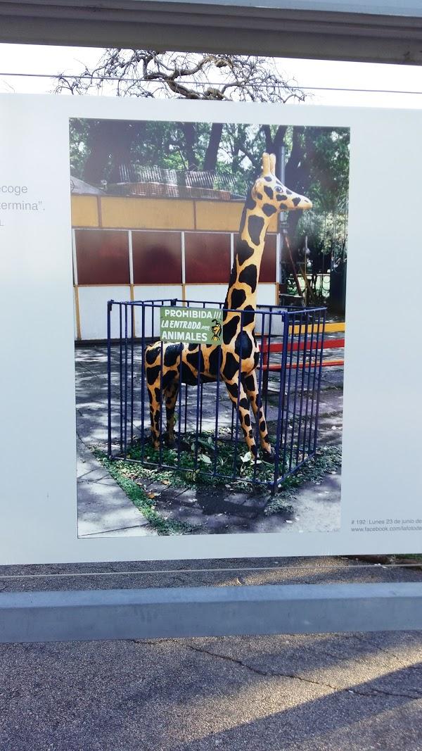 Imagen 25 Oficina de Correos foto