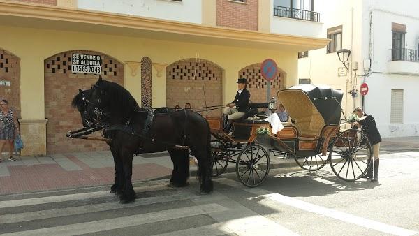 Imagen 43 Simonito foto