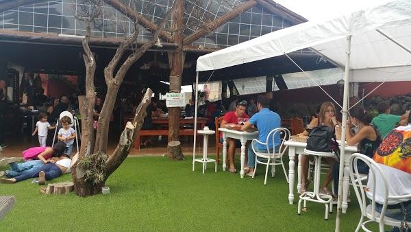 Imagen 191 Guachinche El Talegazo foto