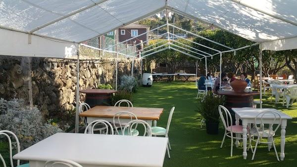 Imagen 204 Guachinche El Talegazo foto