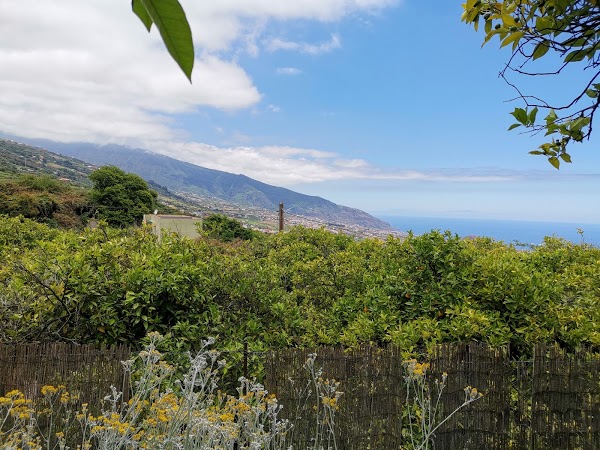 Imagen 282 Guachinche El Talegazo foto