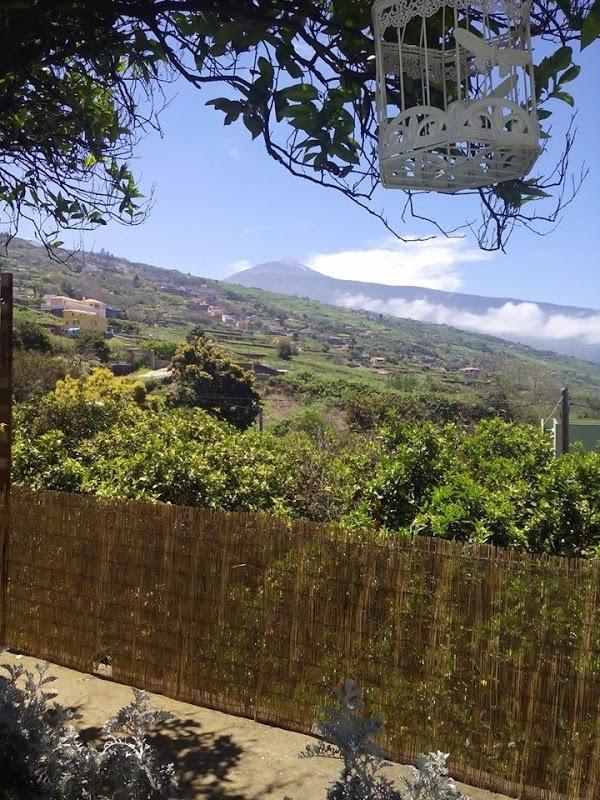 Imagen 58 Guachinche El Talegazo foto