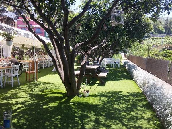 Imagen 67 Guachinche El Talegazo foto