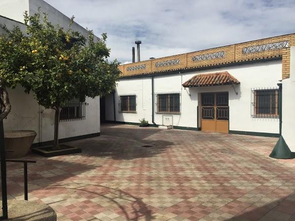 Imagen 12 Ca la Madrona foto