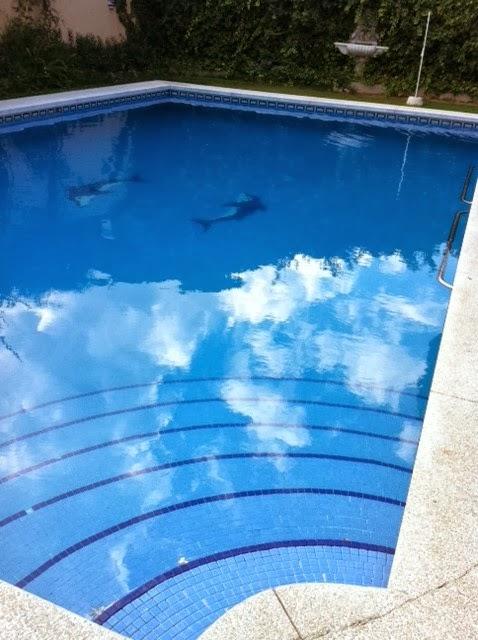 Imagen 19 Farmacia - Óptica Artacho foto