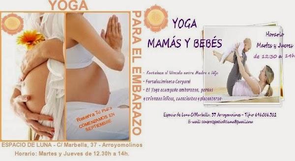 Imagen 65 Lakua Centro foto