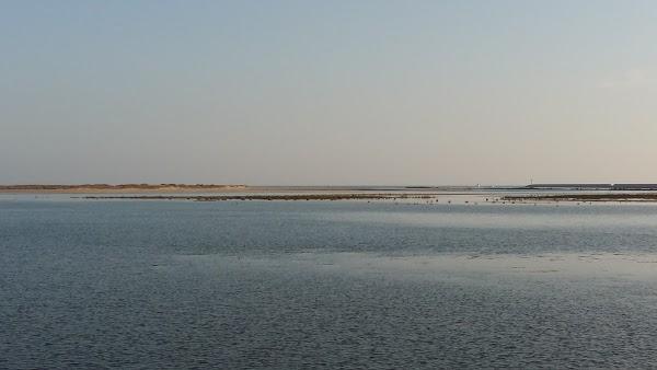 Imagen 5 Marismas de Isla Cristina foto