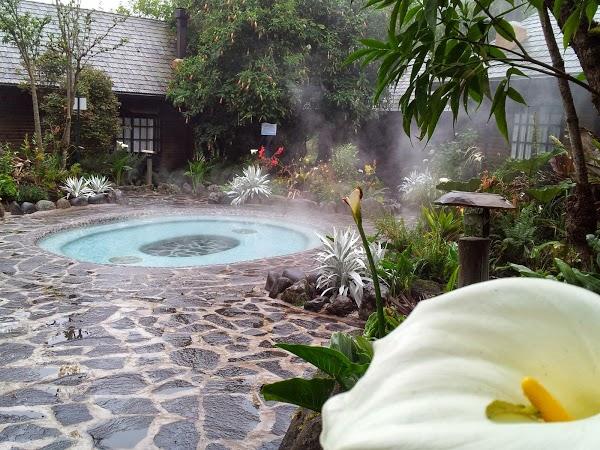 Imagen 3 Farmacia María del Alamo Ortega foto