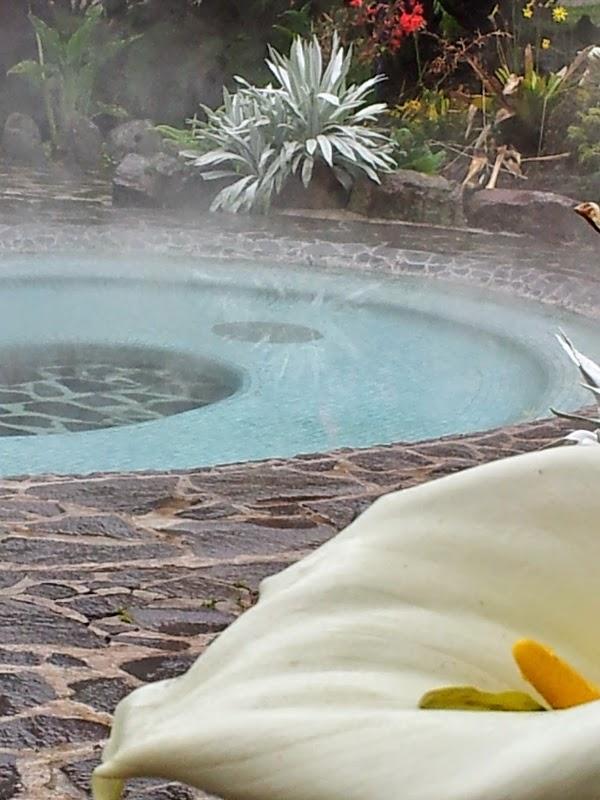 Imagen 6 Farmacia María del Alamo Ortega foto