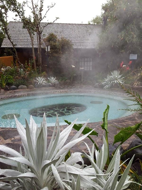 Imagen 7 Farmacia María del Alamo Ortega foto