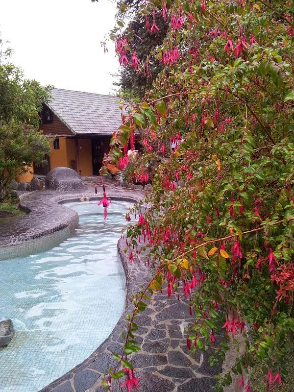 Imagen 9 Farmacia María del Alamo Ortega foto