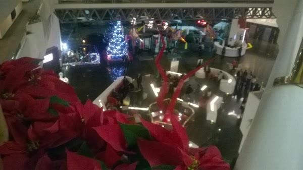 Imagen 13 Autoescuela Intensivo foto