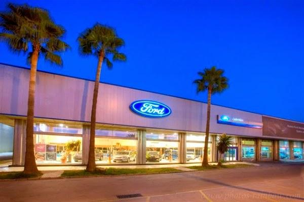 Imagen 13 Nexo Centro Veterinario Punta foto