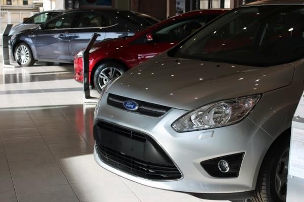 Imagen 14 Nexo Centro Veterinario Punta foto