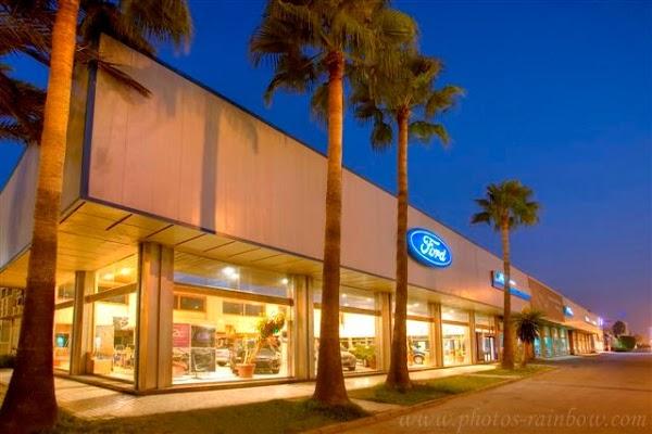 Imagen 22 Nexo Centro Veterinario Punta foto